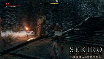 《无主之地4》锈蚀广场精英怪藏匿之地大揭秘