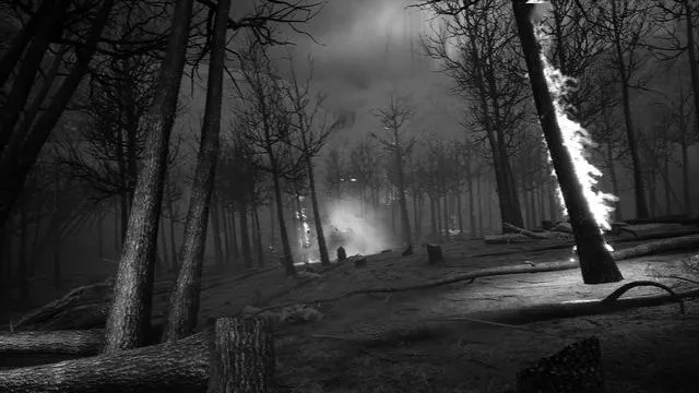 恐怖深林惊悚回归，阴暗森林2全新生存挑战