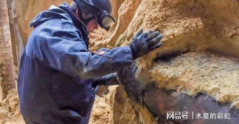 汽车易爆品牌与颜色揭秘：鸟粪炸弹研究新发现