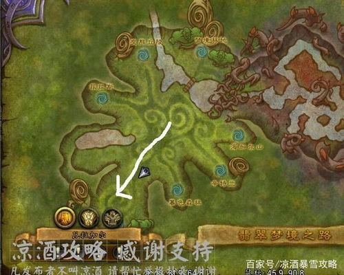 德鲁伊双瞳位置探秘，获取攻略一网打尽