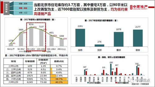 十三州攻略秘籍：深度解析《十三州行动》市场策略