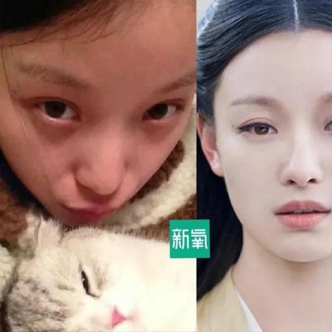 《空洞骑士丝之歌》法术解析:揭秘丝之奥秘与伤害力道新境界 《空洞骑士丝之歌》法术解析:揭秘丝之奥秘与伤害力道新境界