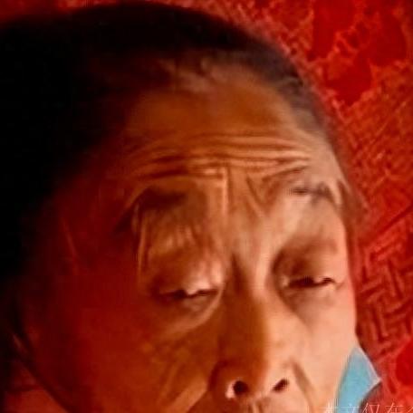 《空洞骑士丝之歌》前期高效刷钱攻略，揭秘全新赚钱秘籍