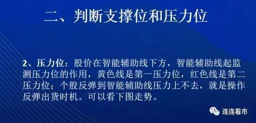 二重螺旋新手速成攻略：入门必看高效技巧分享