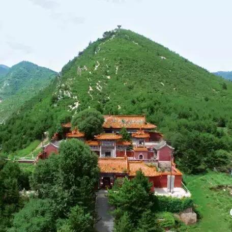 苔藓之母攻略：高效打法与神秘位置解析