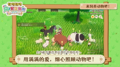 《牧场物语风之繁华集市》道具制作攻略大全揭秘秘籍