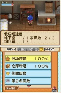 《牧场物语风之集市》资金加速攻略，揭秘高效刷金新技巧