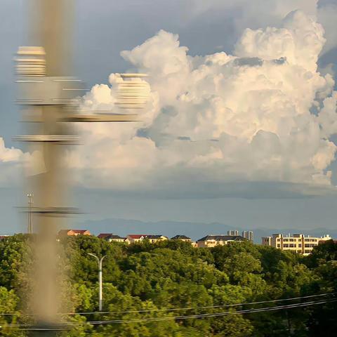 《风之繁华集市》恋爱攻略：高效提升好感度秘籍大公开