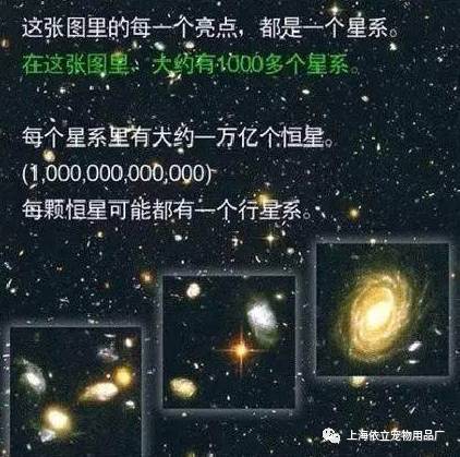 《地狱即我们》金表攻略：揭秘触发方法与位置详解