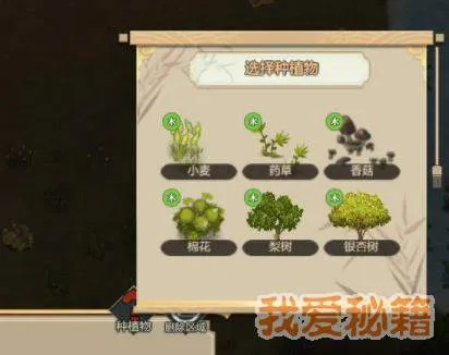 《炼金之道》高效种地攻略：揭秘全新种植技巧与流程解析