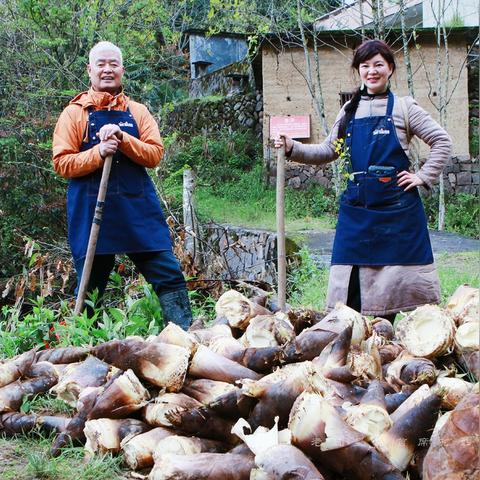 《明末渊虚之羽》探秘：竹笋妙用与熊猫商人神秘踪迹