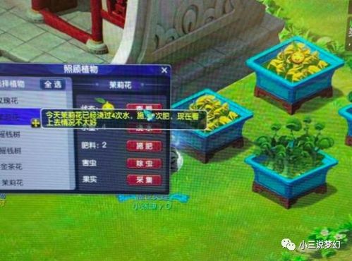 真武山寻宝记：揭秘吴刚藏匿羽之秘物攻略