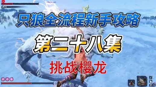 《群狼之城升龙攻略》解锁起手技巧，掌握制胜之道