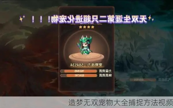 《造梦西游无双》宠物坐骑捕捉攻略，高效刷取秘籍大揭秘！