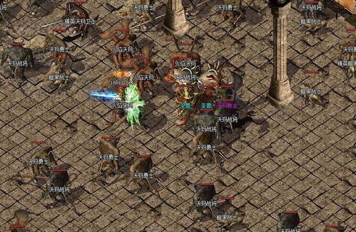 荒野巨兽携手幻想英雄，共创传奇新篇章