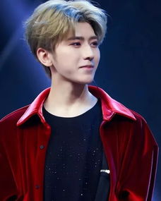 蔡徐坤新歌Jasmine歌词深度解析，揭秘流行音乐新价值