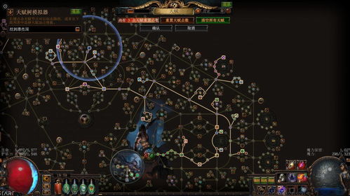 《流放之路2》装备词条奥秘解析：深度解锁新价值