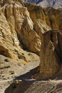 探寻PEAK隐藏秘境：沙漠古墓神秘入口大揭秘