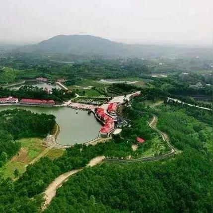 《菜市场模拟器》攻略揭秘：东方小镇经营实况深度解析