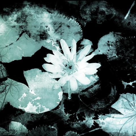 《明末渊虚之羽》执念心魔攻略：高效打法解析与技巧分享