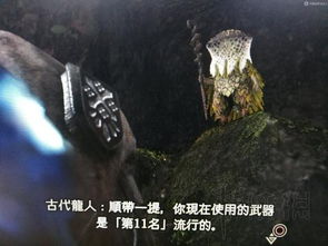 玄武流铳枪绝配攻略：荒野猎人最强装备解析