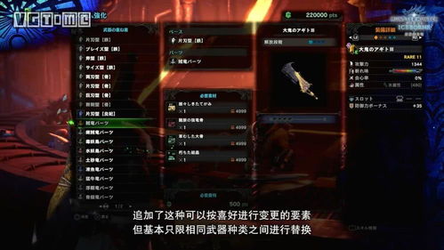 《荒野猎人》护石随机机制深度解析，解锁全新战斗潜能