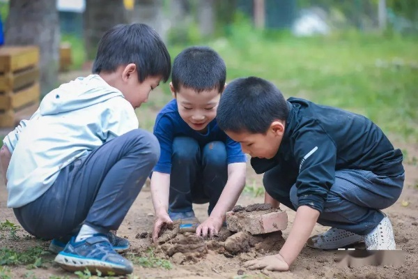 动物足迹引领新篇章，《金垦小镇》开启生态探险之旅