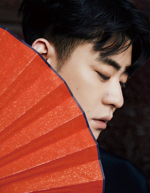 台湾歌手坣娜红斑狼疮复发离世，艺术人生59载终章感人