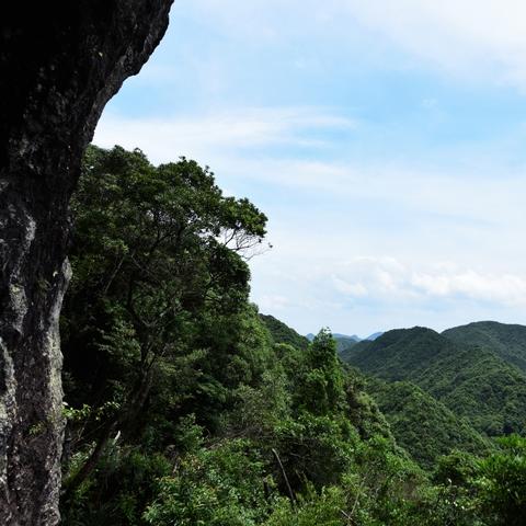 《明末渊虚之羽》云顶城全支线攻略：解锁神秘新元素，深度解析！