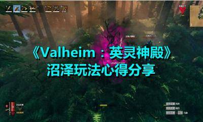 鸟人沼泽失心洞攻略：揭秘高效通关新技巧