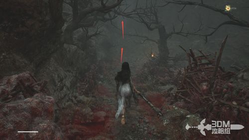 《明末渊虚之羽》红衣少女攻略：解锁神秘新技能，轻松通关秘境