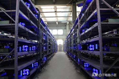 99新矿场显卡水洗暴力，网友热议新价值曝光