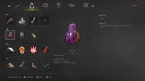 《明末渊虚之羽》独家攻略：轻松获取蹬龙玉佩秘籍