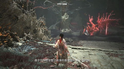 《明末渊虚之羽》吸法揭秘：解锁神秘新价值