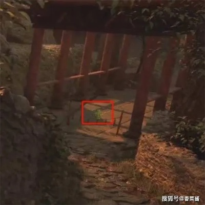 《明末渊虚之羽》笋精藏匿秘境探秘攻略分享