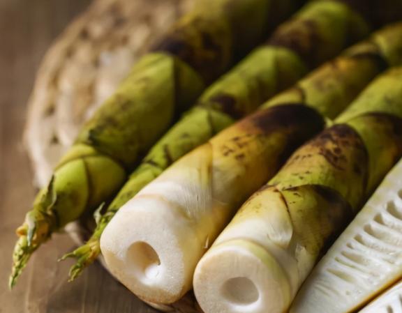 真武山笋精位置攻略：揭秘高效收集新技巧