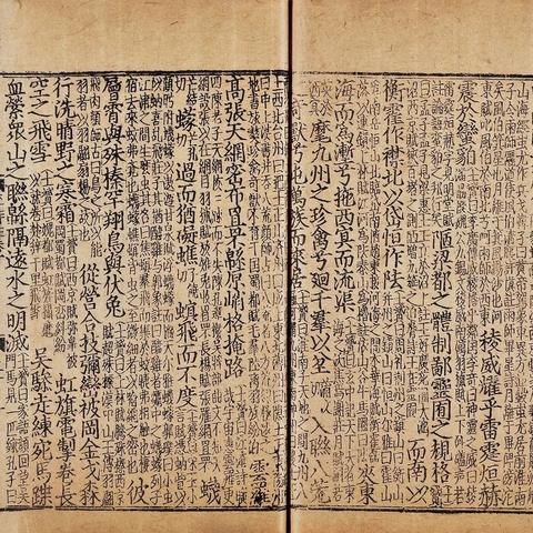 钝击属性解析：揭秘《明末渊虚之羽》中的强大破坏力