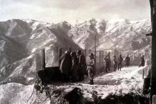 《明末渊虚之羽》揭秘：树桥背后的神秘力量