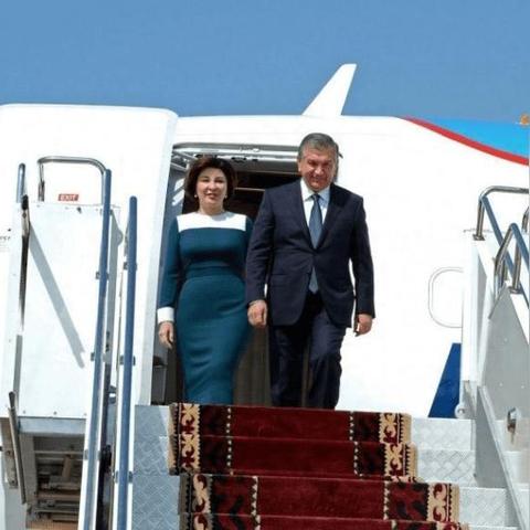 夜夫人套装属性解析，独家攻略助你轻松获取！