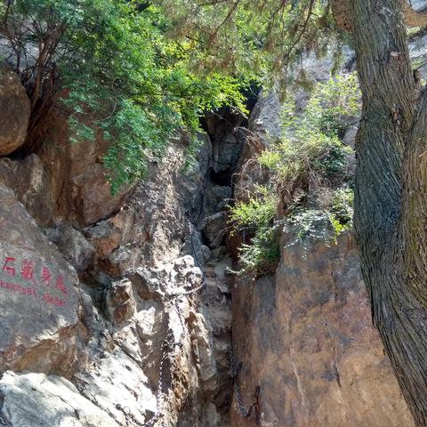 古都神龛探秘：明末渊虚之羽神秘入口路线揭晓