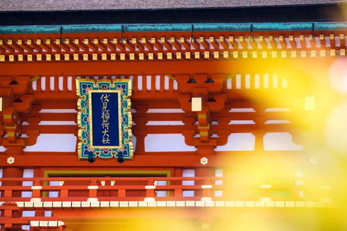 《明末渊虚之羽》古都神龛探秘：深度解析神秘路线与价值发现