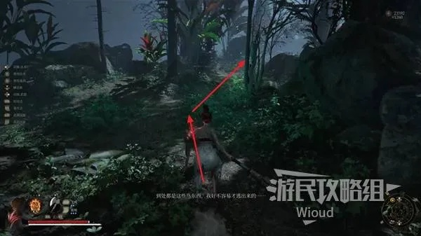 真武山羽族遗骸寻获攻略，揭秘遗骸分布秘境