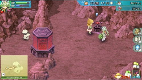 黑豹线攻略揭秘，动物迷城速通关秘籍！