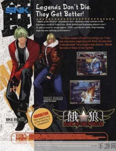 《饿狼传说群狼之城》安迪攻略：深度解析高效玩法技巧