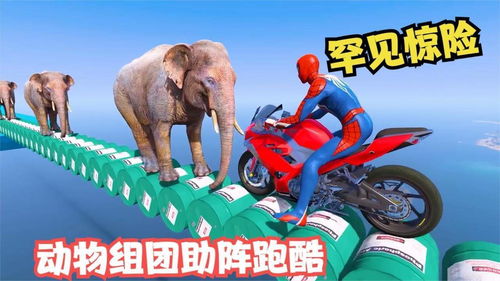 黑豹线大象猩猩技能攻略：解锁神秘新技能，探秘动物迷城