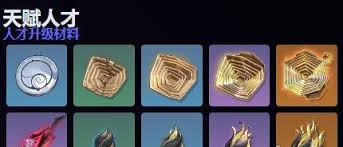 《鸣潮》弗洛洛养成攻略：揭秘必备材料清单，高效提升实力