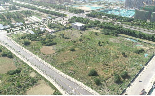 《动物迷城》技能解析：深度剖析与全新价值评估