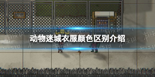 《动物迷城》黑豹线攻略：深度解析黑豹线玩法技巧