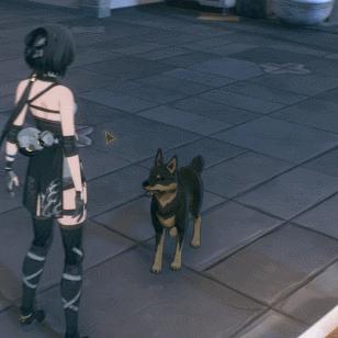 《鸣潮》2.5前瞻直播精华+兑换码大放送，独家揭秘新内容！