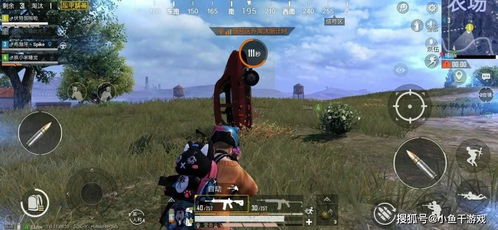 仲夏游梦绮谭环岛射击攻略，揭秘《绝区零》第一天新玩法